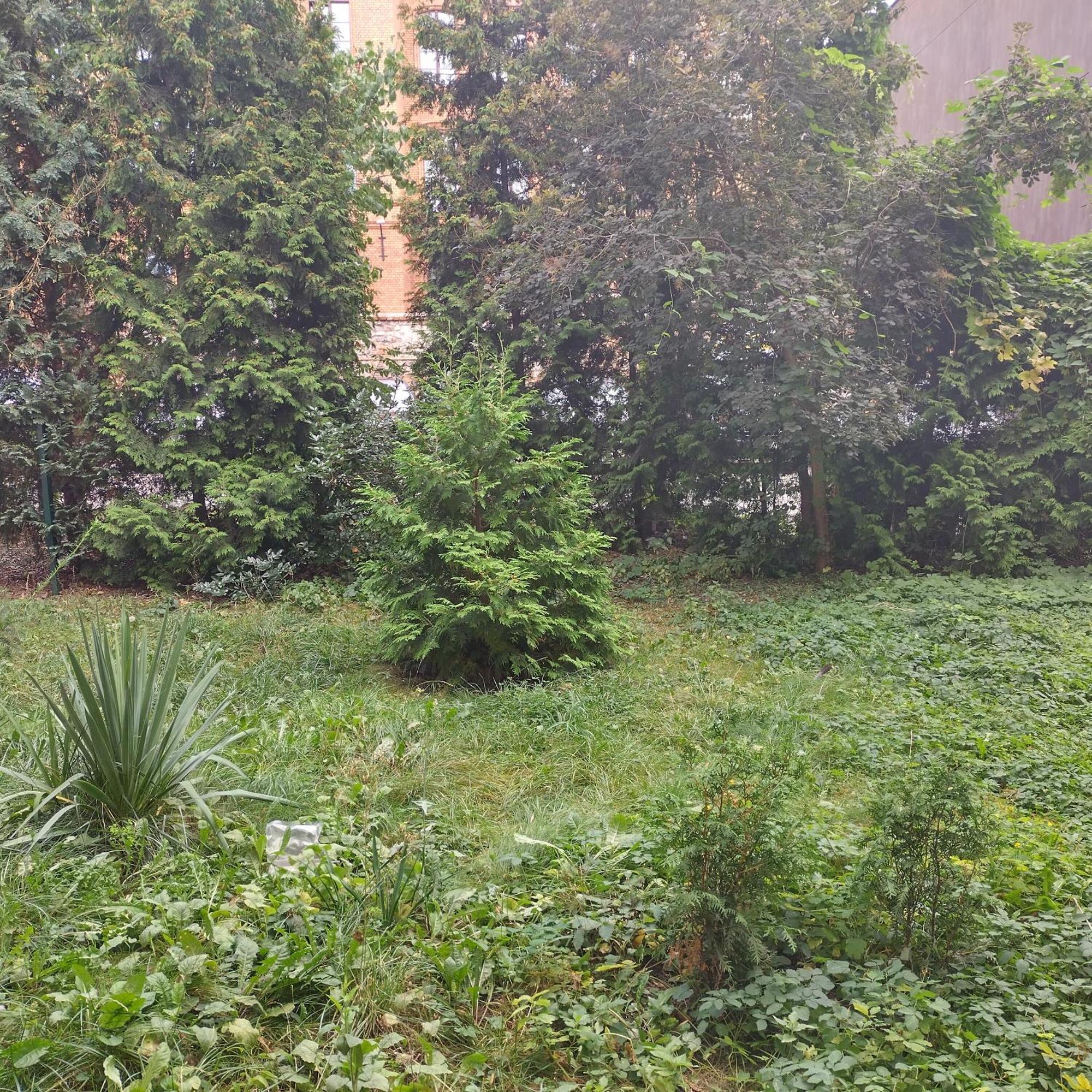 Apartament Przedzamcze Thorn Exterior foto